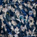 47-_ADE4338