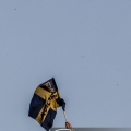 5-D_CR4161