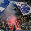 73a-D_C23890