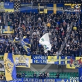 ADE2023-113