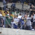 7-D_CA2054