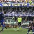 95-D_CA4427