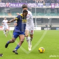 50-D_C20131