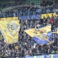18a-D_C21883
