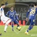 15-GLG_1091