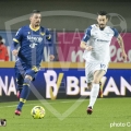 46-GLG_1162