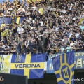 87a-D_CA7904