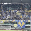 96-D_CA7233