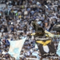 13-D_CA9753