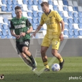 85-D_CA9031