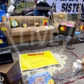 10-IMG_6056