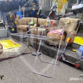 5-IMG_6043