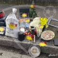 7-IMG_6048