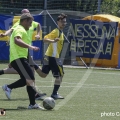 235-D_CA1271