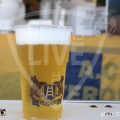 36-D_CA9516